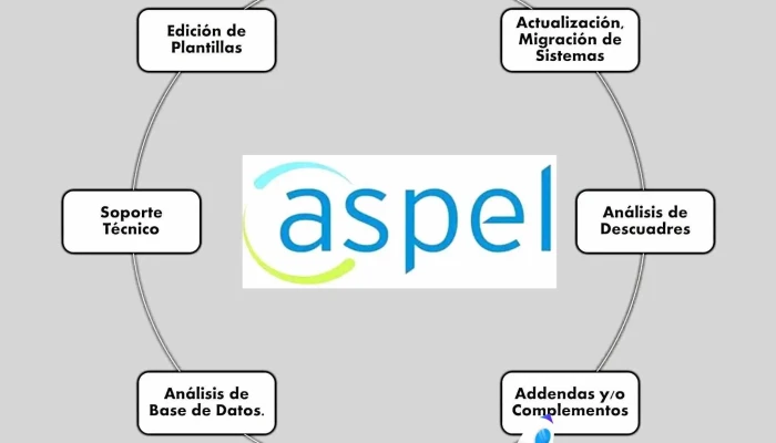 Consultoria Jan Consultor Asesor Aspel Y Soporte Tecnico Del Propietario - Atlacomulco de Fabela