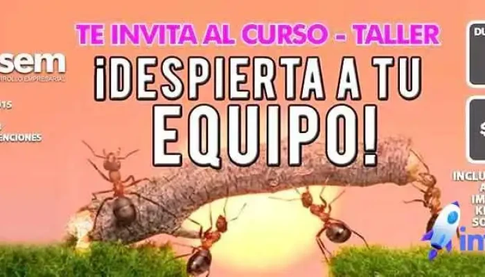Consultoria Lidesem Sc Del Propietario - Mazatlán