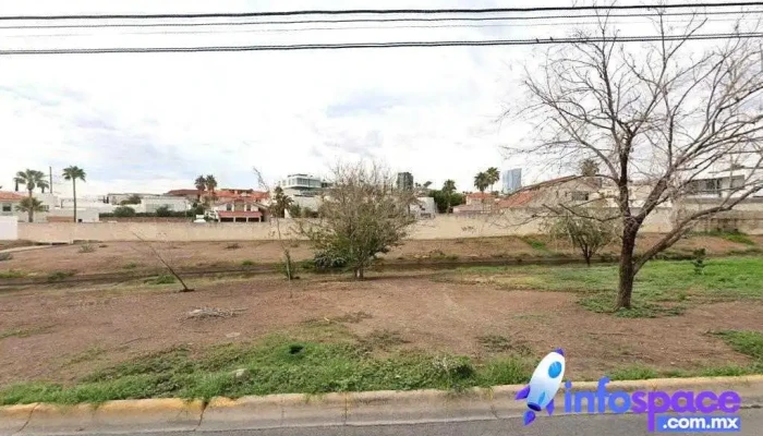 Consultoria Organizacional - Chihuahua