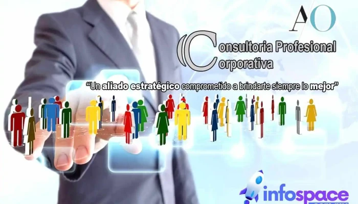 Consultoria Profesional Corporativa Ao Del Propietario - Metepec