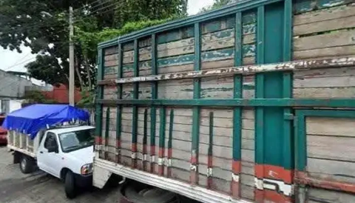 Consultoria Psicologica Y Juridica H Y H Puntajedeg - San Juan Bautista Tuxtepec