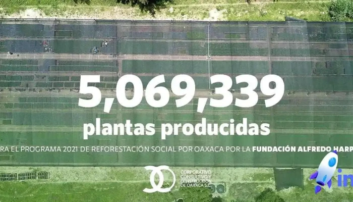 Corporativo Consultivo y Construcción de Oaxaca - Oaxaca De Juárez