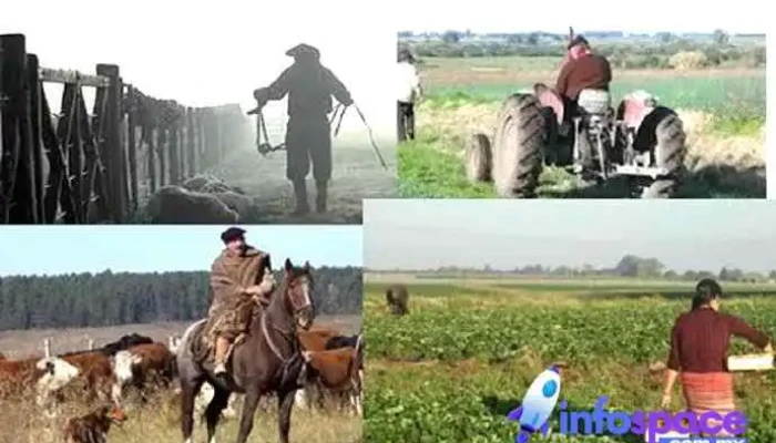 Corporativos Negrete Movil Del Propietario - San Pedro Tapanatepec