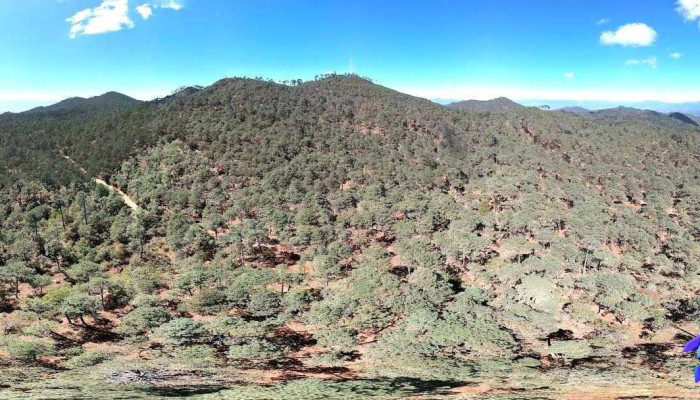 Corral de Piedra - Corral De Piedra
