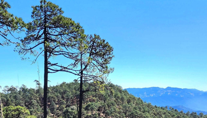 Corral De Piedra -  Instagram - Nuevo Zoquiápam
