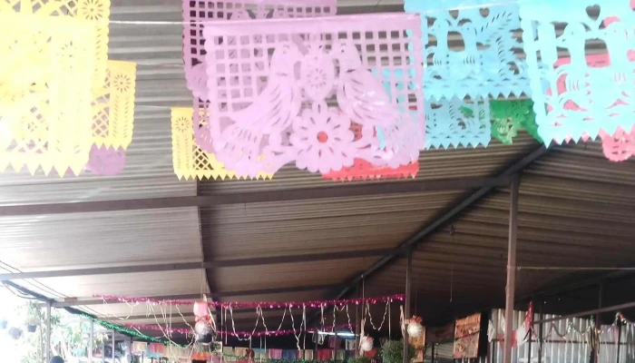 Corredor Gastronomico De San Raymundo Jalpan Como Llegar - San Raymundo Jalpan
