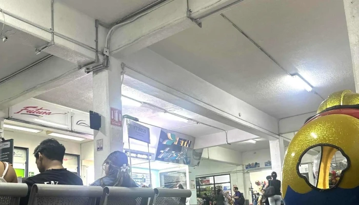 Costaline Cuernavaca -  Abierto Ahora - Cuernavaca