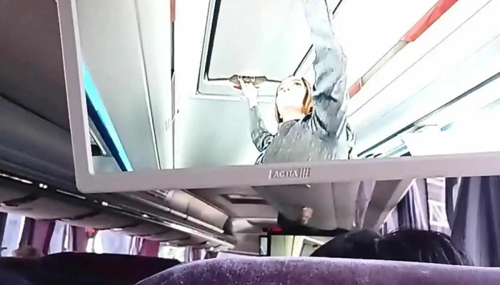 Costaline Cuernavaca -  Videos - Cuernavaca