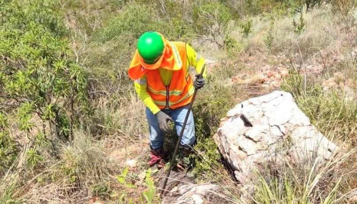 DAG-Consultoría Ambiental y Desarrollo de proyectos Sc - El Camaron Yautepec