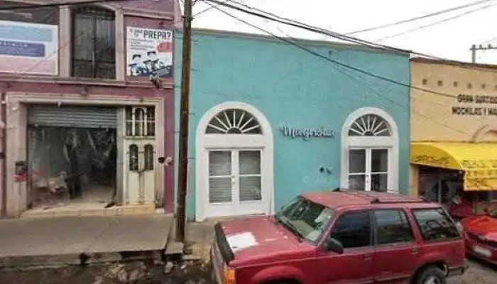 Dasic Desarrollo -  Sitio Webdeg - Hidalgo del Parral
