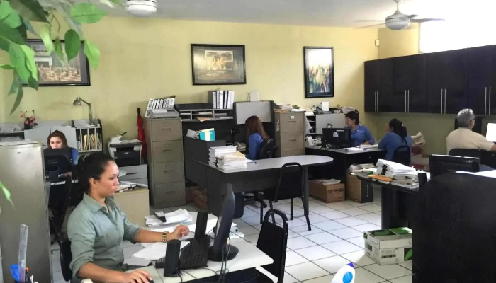 De Cima Consultores -  Interior - Mazatlán