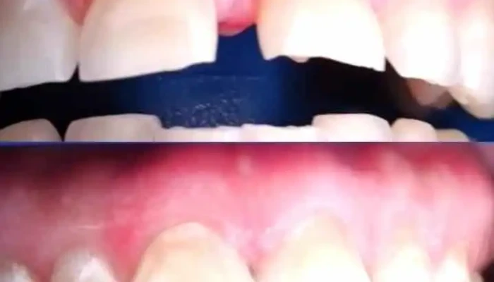 Dental Expert -  Del Propietario - Nuevo Casas Grandes