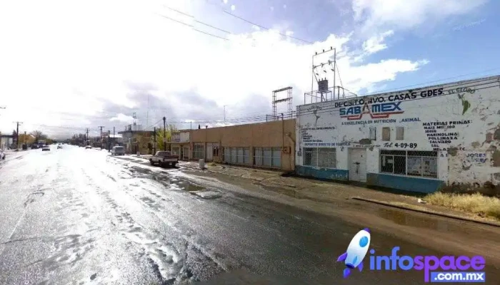 Departamento s del centro - Nuevo Casas Grandes