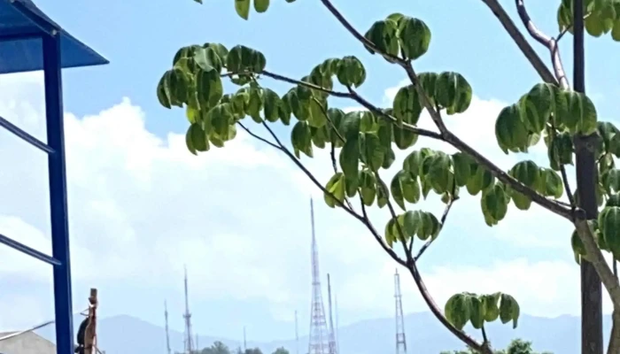 Desarrollo Habitacional Guelaguetza -  Instagram - La Soledad