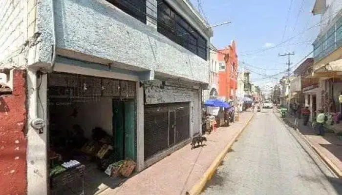 Digitalis Servicios -  Numero - Almoloya del Río
