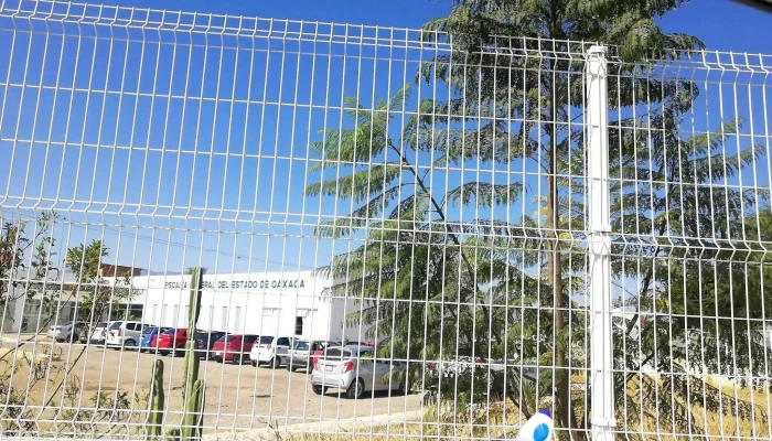Direccion De Servicios Periciales Del Estado De Oaxaca -  Sitio Web - San Bartolo Coyotepec