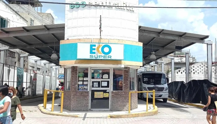 Eco Chica - Zona Centro