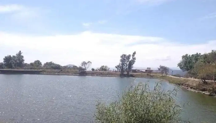 Ejido de la Finca - Ejido De La Finca