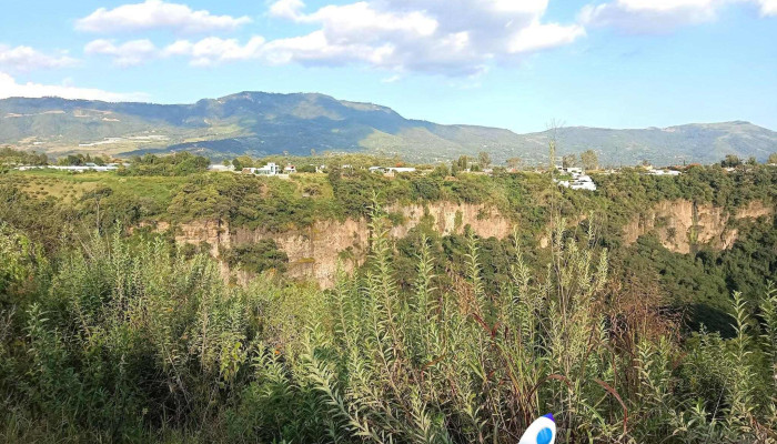 Ejido De La Finca -  Montana - Ejido de la Finca