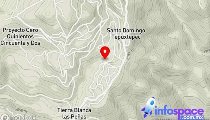 mapa de El camarón Servicio de transporte en Santo Domingo Tepuxtepec