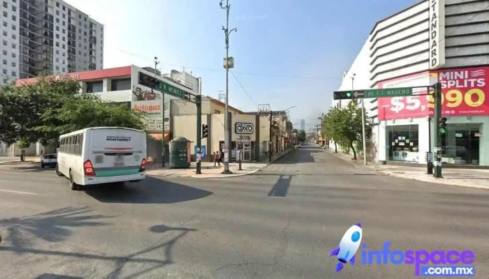 El Paisano con Ómnibus Mexicanos - Centro