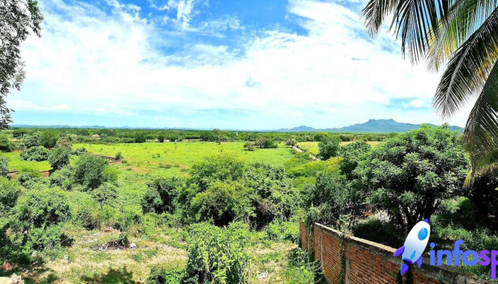 El Roble -  Promocion - El Roble
