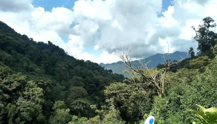 El Triunfo - Chiapas