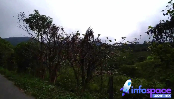 El Triunfo -  Videos - Chiapas