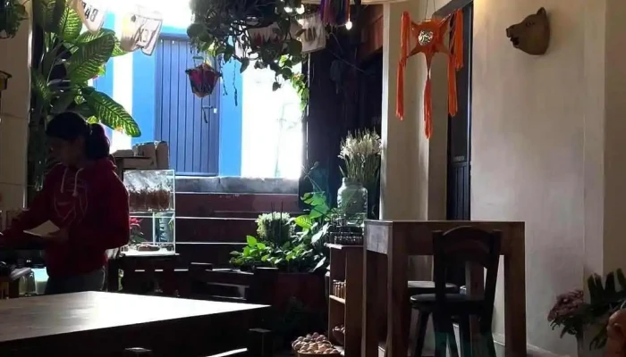 Elefante Cafe Ambiente - Oaxaca de Juárez