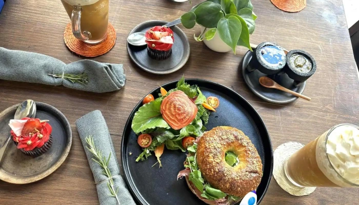 Elefante Cafe Bagel - Oaxaca de Juárez