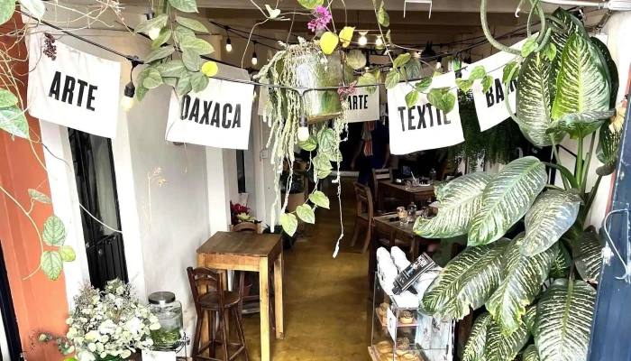Elefante Cafe Instagram - Oaxaca de Juárez
