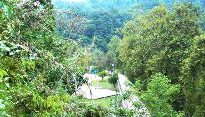 Eloxochitlan De Flores Magon Montana - Eloxochitlán de Flores Magón