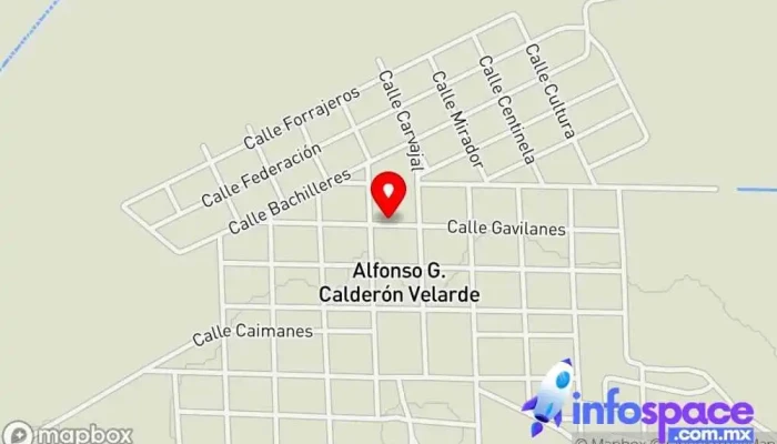 mapa de Escuela Primaria Escuela en Alfonso G. Calderón Velarde