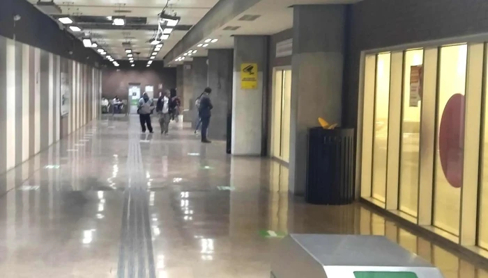 Estacion Catedral Vivebus Abierto Ahora - Chihuahua