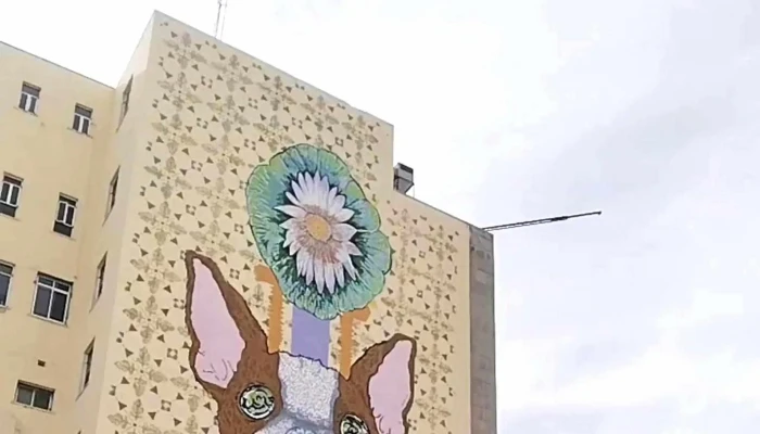 Estacion Catedral Vivebus Ubicacion - Chihuahua