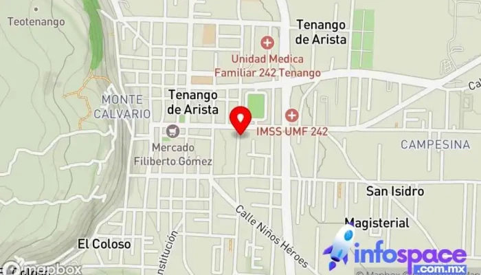 mapa de Estación de Autobuses ATMT  en Tenango de Arista
