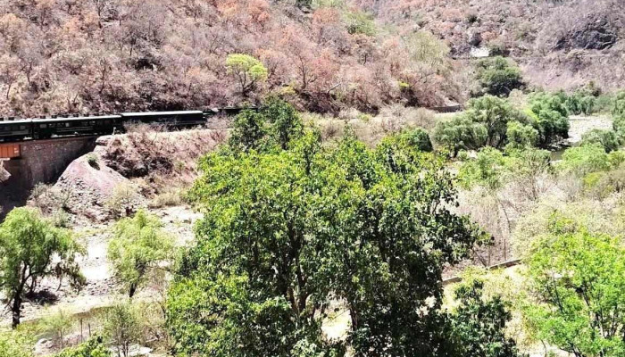 Estacion Temoris Videos - Estación Témoris