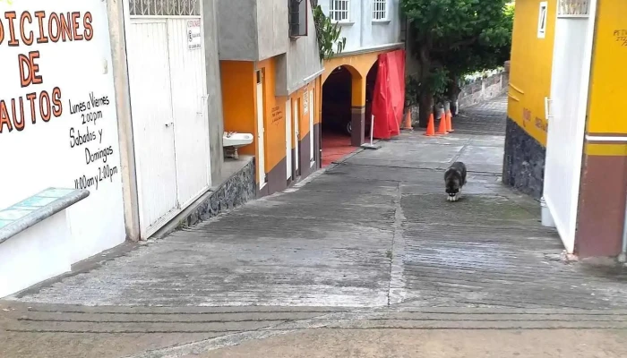 Estacionamiento Las Guitarras -  Del Propietario - Chalma