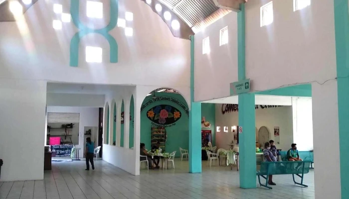 Estrella Blanca Y Etn Turistar De Lujo Bus Station -  Sitio Web - Crucecita