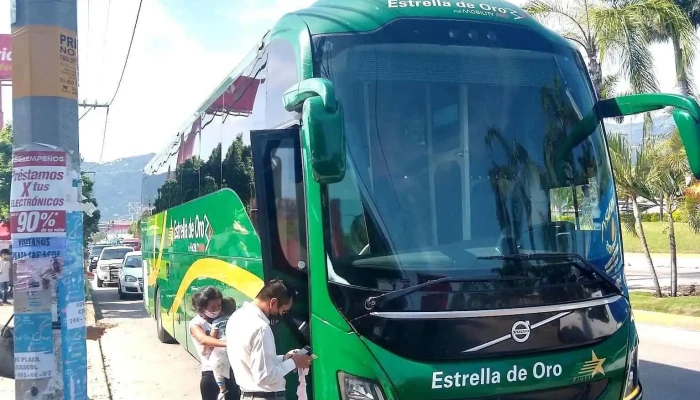 Estrella de Oro Terminal Renacimiento - 39715 Acapulco De Juárez