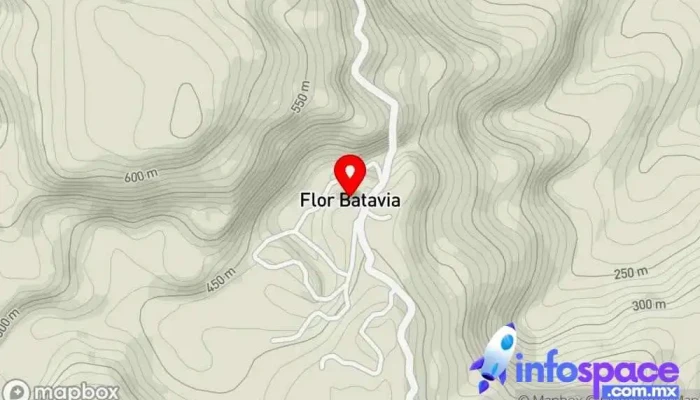 mapa de Flor Batavia  en Flor Batavia