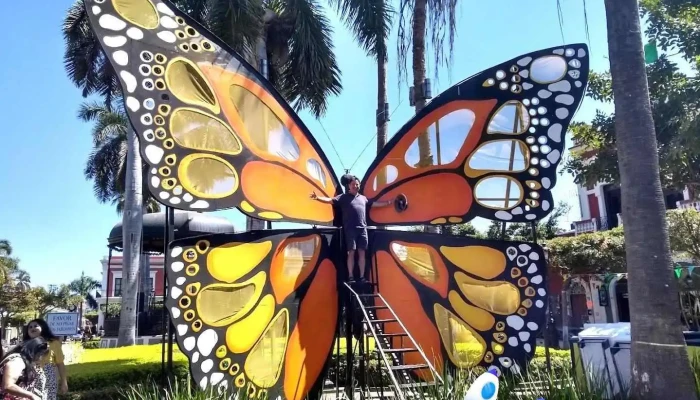 Flores Quezada Ramiro Licenciado - Mazatlán
