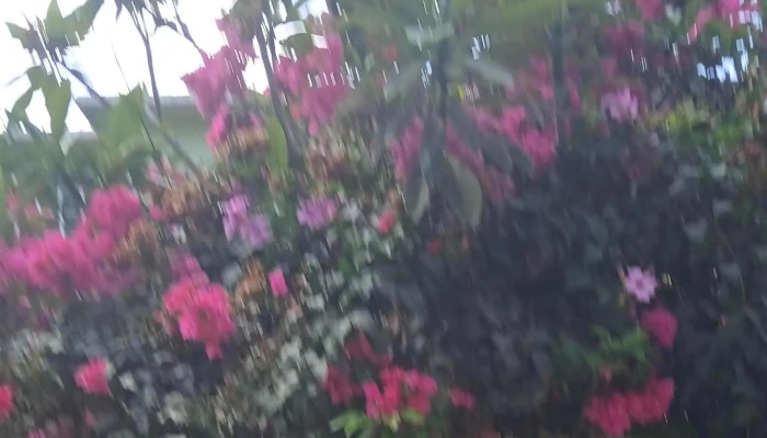 Fraccionamiento Jardines de Yahuiche - Santa María Atzompa