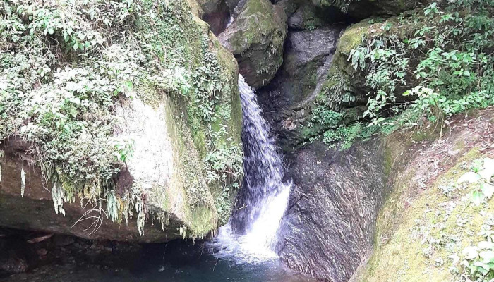 G -  Ambiental Ac Del Propietario - Oaxaca de Juárez