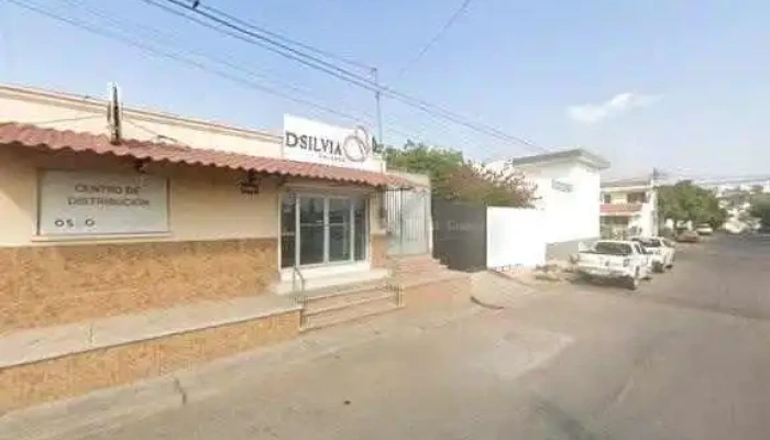 Garante -  Ubicacion - Culiacán Rosales