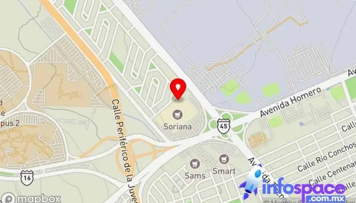 mapa de Gestión Consultoría Ejecutiva Asesor en Chihuahua