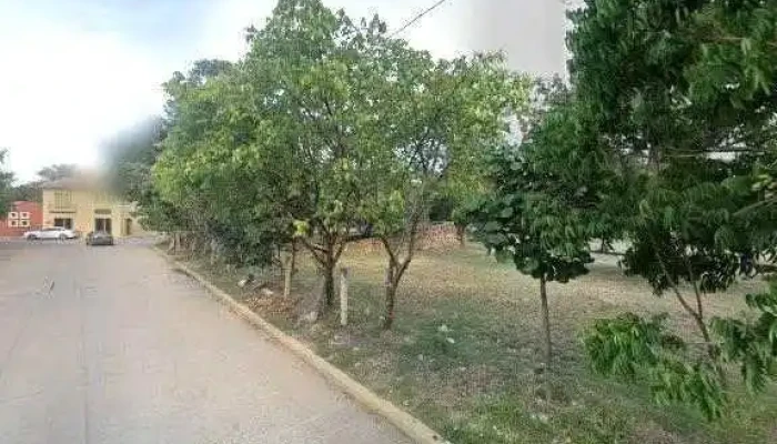 Gestoria Migratoria De Recursos Agricolas Sc Numerodeg - Ocotlán de Morelos