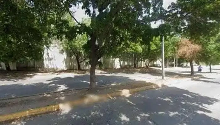 Gris A Verde Consultores S De Rl De Cv Catalogodeg - Culiacán Rosales