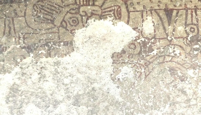 Grupo Del Arroyo Za De Mitla Puntaje - San Pablo Villa de Mitla