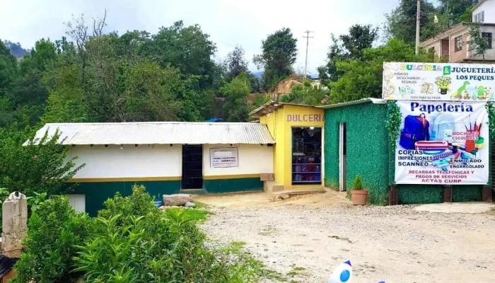 Grupo Mixe Ac Comentarios - Santo Domingo Tepuxtepec